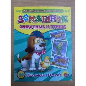 Book cover: 16 обучающих карточек. Домашние животные и птицы
